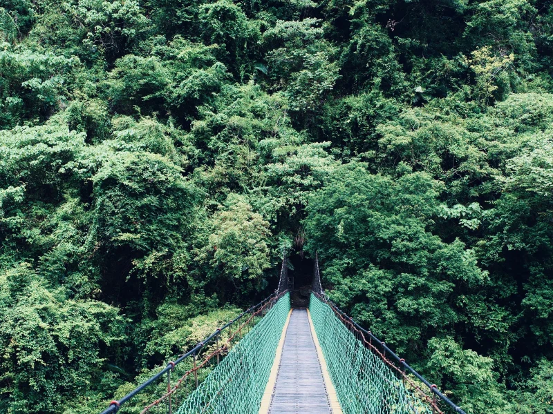 a-suspension-bridge-access-to-the-green-mountain-2022-11-02-03-34-05-utc copy
